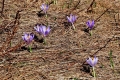 2018_04_07 III Krawculska InO fot. G. Szczepaniak (111)