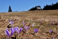 2018_04_07 III Krawculska InO fot. G. Szczepaniak (113)