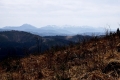 2018_04_15 Oszast fot. G. Sz. (123)