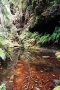 BlueMountains (10)