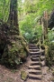 BlueMountains (11)