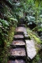 BlueMountains (5)