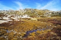 DSC07045