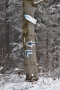 2019_04_13 Gorce fot. G. Sz. (104)