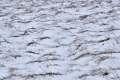 2019_04_13 Gorce fot. G. Sz. (131)