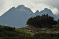 2019_06_16-Tatry-Bielskie-fot.-Łukasz-Trębacz-105