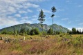 2019_07_07-Tatry-fot.-Łukasz-Trębacz-101