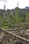 2019_07_07-Tatry-fot.-Łukasz-Trębacz-103
