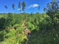 2019_07_07-Tatry-fot.-Jan-Garncarczyk-101