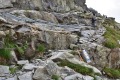 2019-07-31-Rysy-107-fot.-G.-Sz.