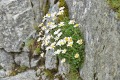 2019-07-31-Rysy-116-fot.-G.-Sz.