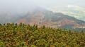 2019-09-29-Babia-Góra-fot.-Tadeusz-Tracz-13