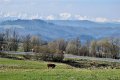 DSCN1491