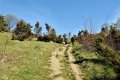 DSCN1533