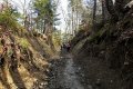 DSCN1581