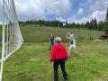 IMG-20230617-WA0004