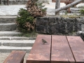 IMG_20260430_151830