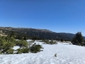 IMG_20260501_101954