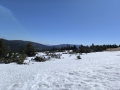 IMG_20260501_102003