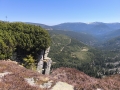 IMG_20260501_120422