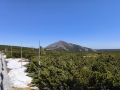 IMG_20260502_131259
