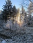 IMG_20251227_084822