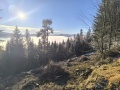 IMG_20251227_093045