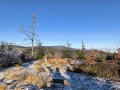 IMG_20251227_100145