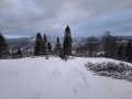 IMG_20250104_080926