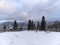 IMG_20250104_081414