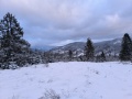 IMG_20250104_081417