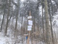IMG_20250104_101300