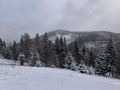 IMG_20250104_112315