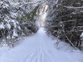 IMG_20250104_120348