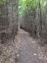 IMG_20250823_085206