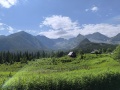 IMG_20250706_100333